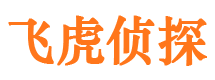 云城捉小三公司